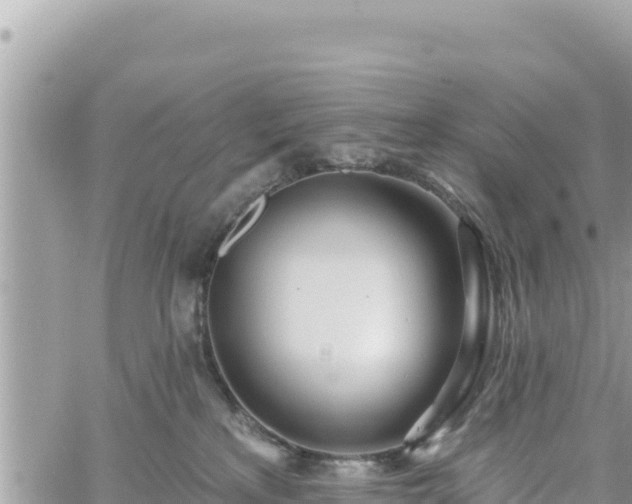 X0000060760233200511171156