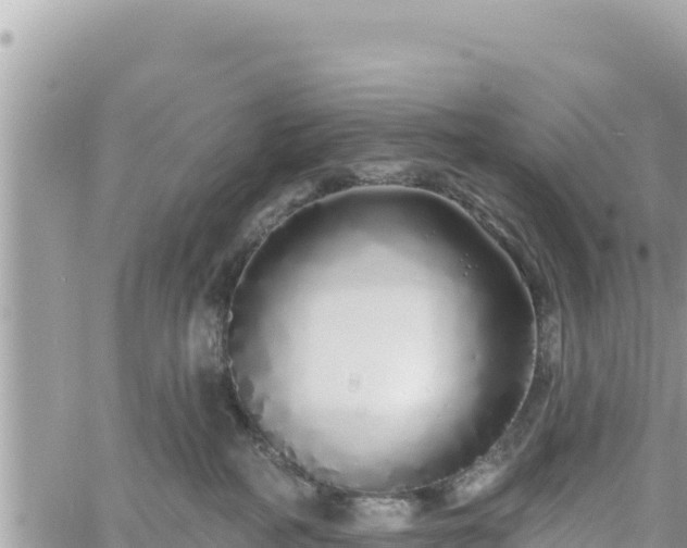 X0000060760234200511171156