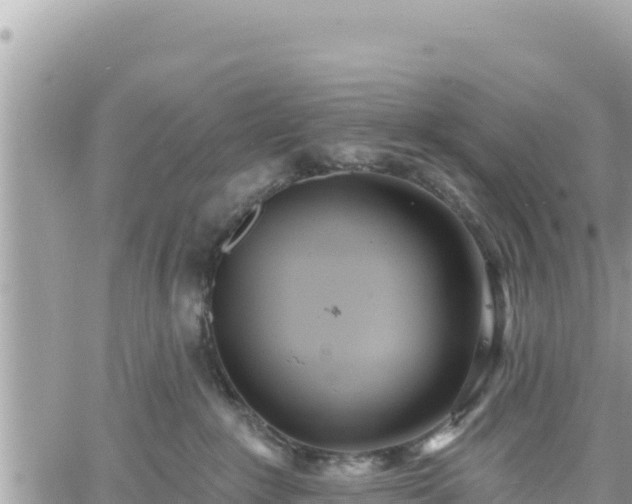 X0000060760235200511171156