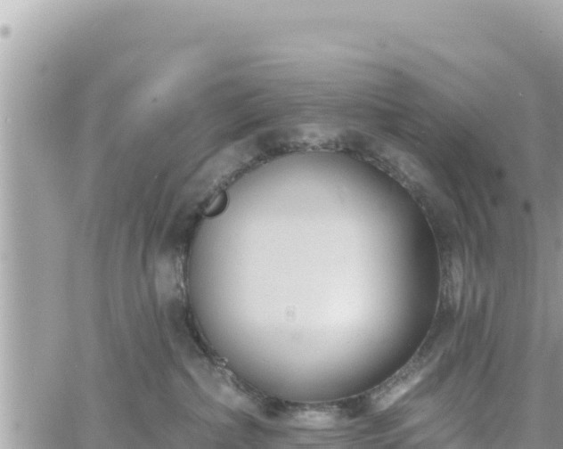 X0000060760236200511171156