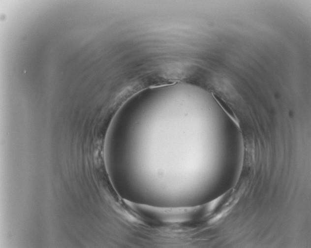 X0000060760237200511171156