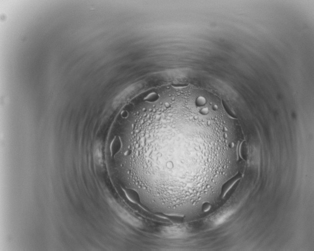 X0000060760238200511171156