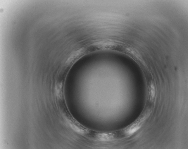 X0000060760239200511171156