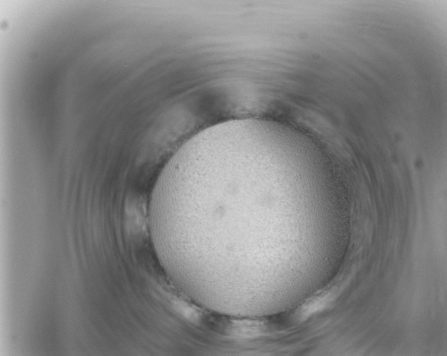 X0000060760240200511171156