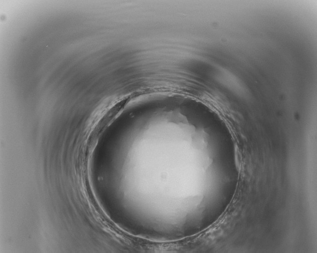 X0000060760241200511171155