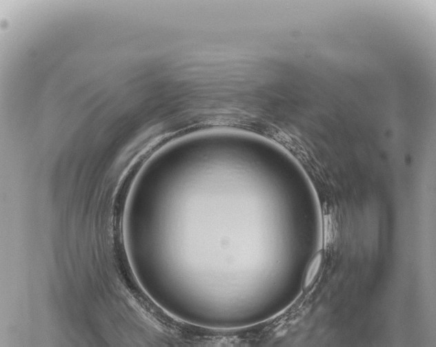 X0000060760243200511171155