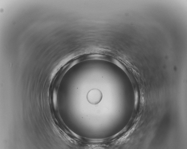 X0000060760244200511171155