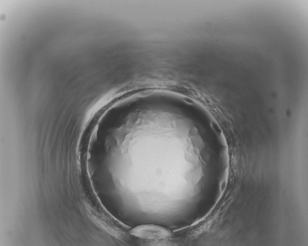 X0000060760246200511171155