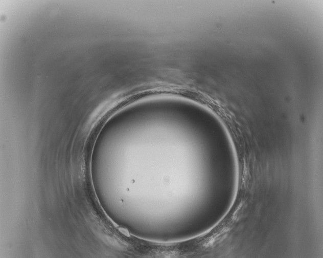 X0000060760247200511171155