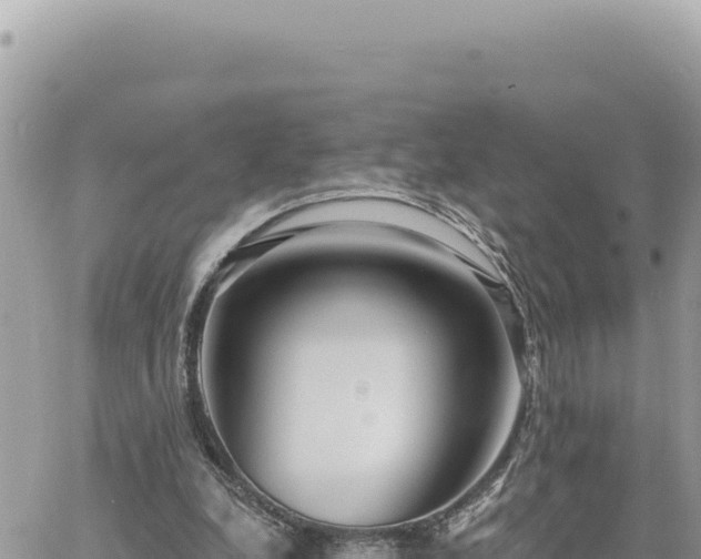 X0000060760248200511171155