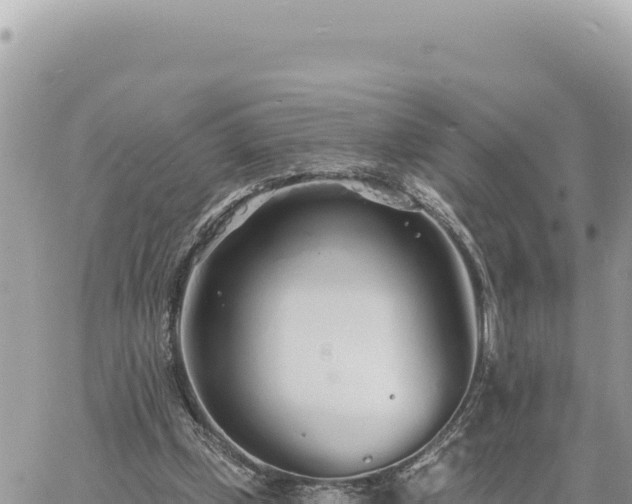 X0000060760249200511171155