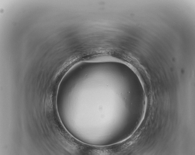 X0000060760250200511171155