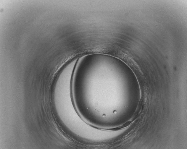 X0000060760251200511171155