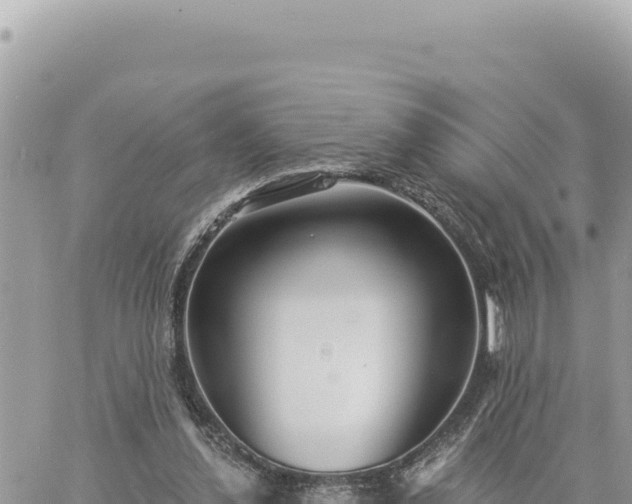 X0000060760252200511171155