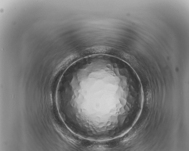 X0000060760254200511171155