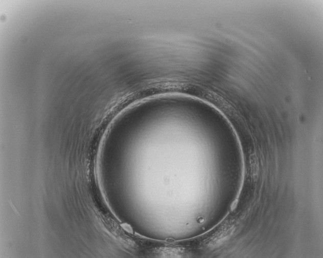 X0000060760255200511171155