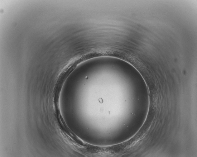 X0000060760256200511171155