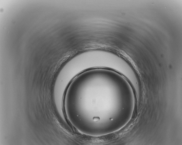 X0000060760257200511171155