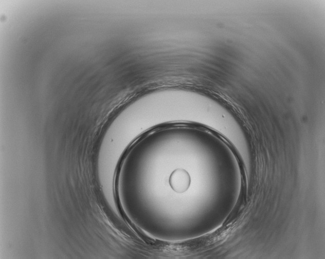 X0000060760261200511171155