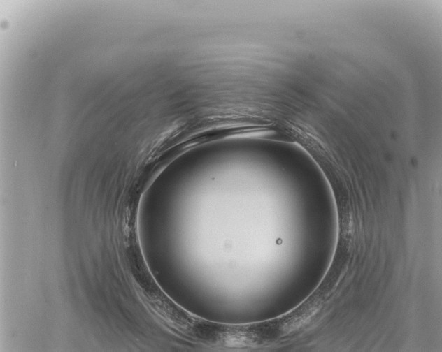 X0000060760264200511171155