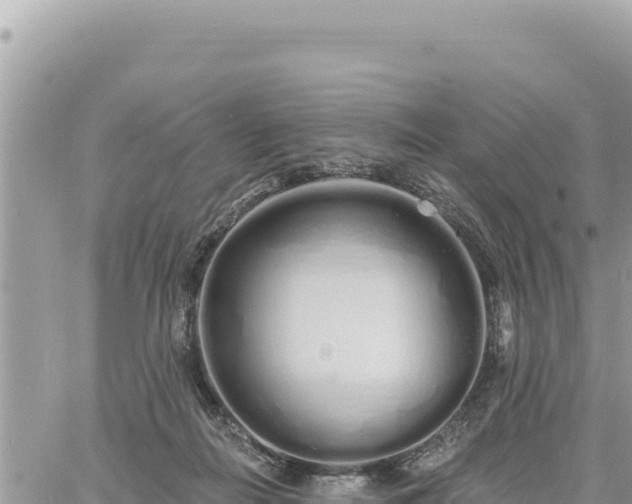 X0000060760266200511171155