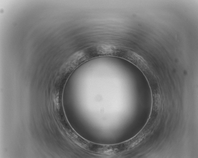 X0000060760267200511171155