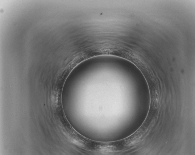 X0000060760268200511171155