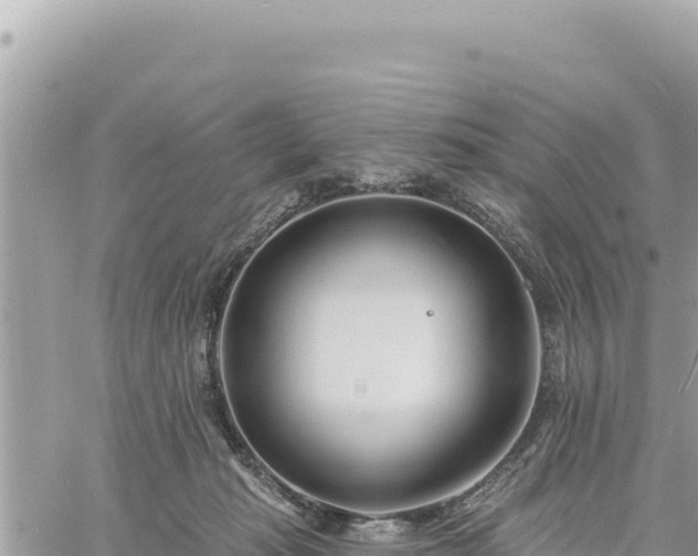 X0000060760269200511171155