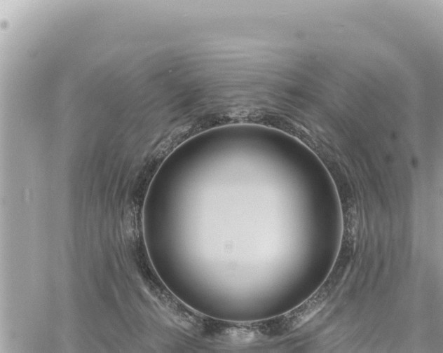 X0000060760272200511171155