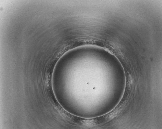 X0000060760273200511171155