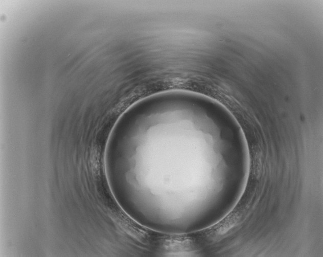 X0000060760274200511171155