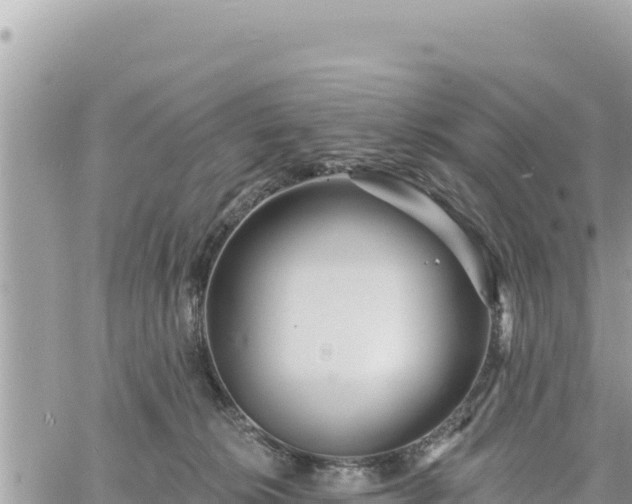 X0000060760276200511171155