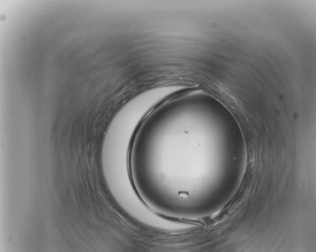 X0000060760277200511171155