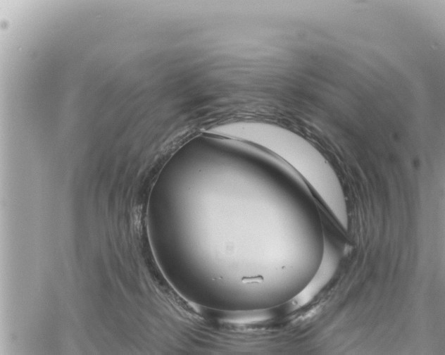 X0000060760278200511171155