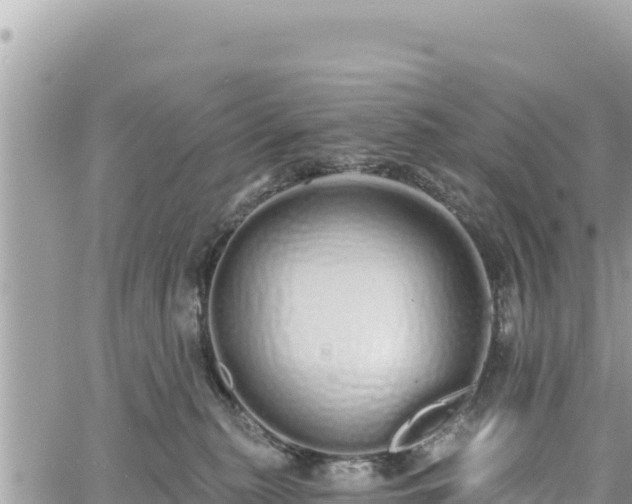 X0000060760279200511171156