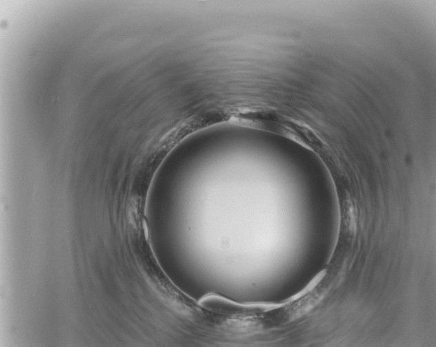 X0000060760280200511171156