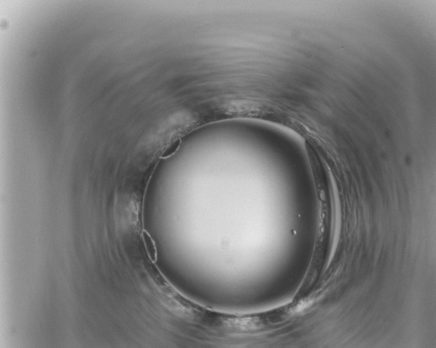 X0000060760281200511171156