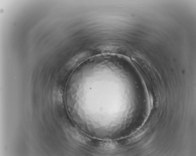 X0000060760282200511171156