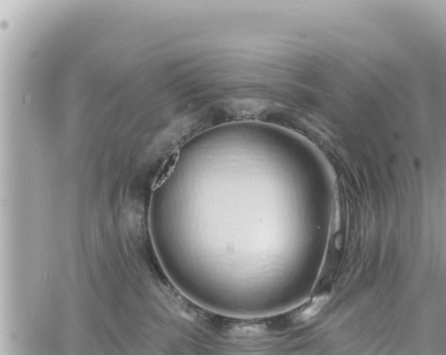 X0000060760283200511171156