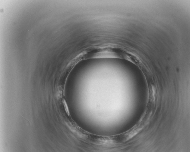 X0000060760284200511171156