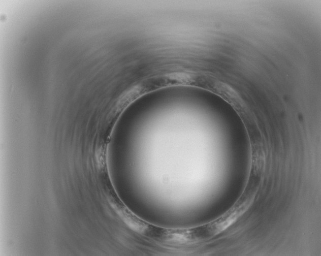 X0000060760285200511171156