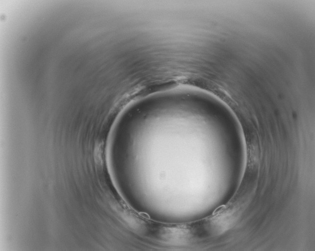 X0000060760286200511171156