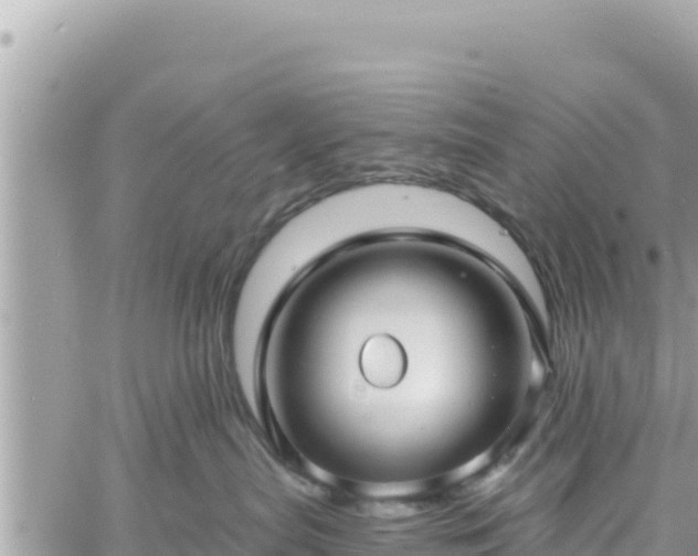 X0000060760287200511171156