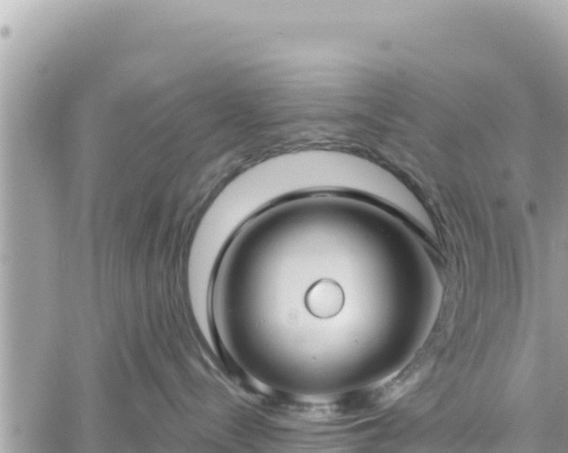 X0000060760288200511171156