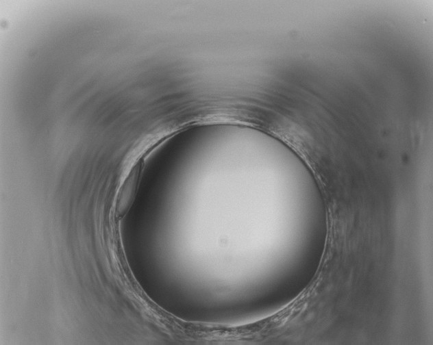 X0000060760289200511171155