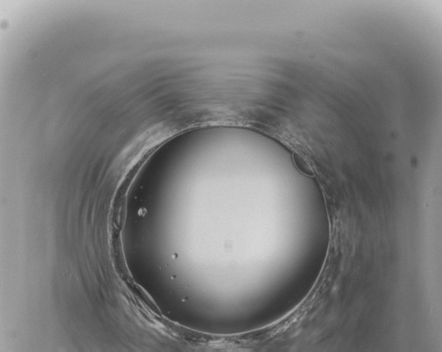 X0000060760290200511171155