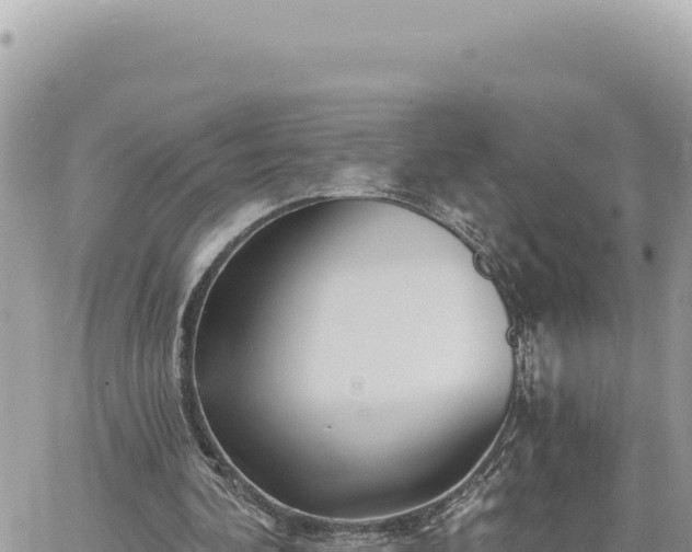 X0000060760292200511171155