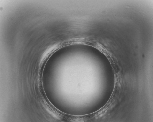 X0000060760293200511171155