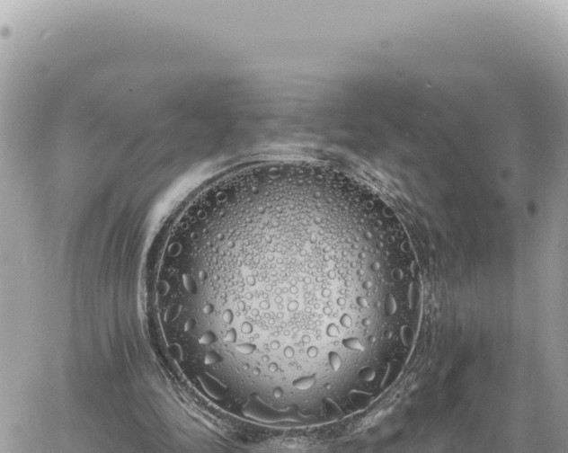 X0000060760294200511171155