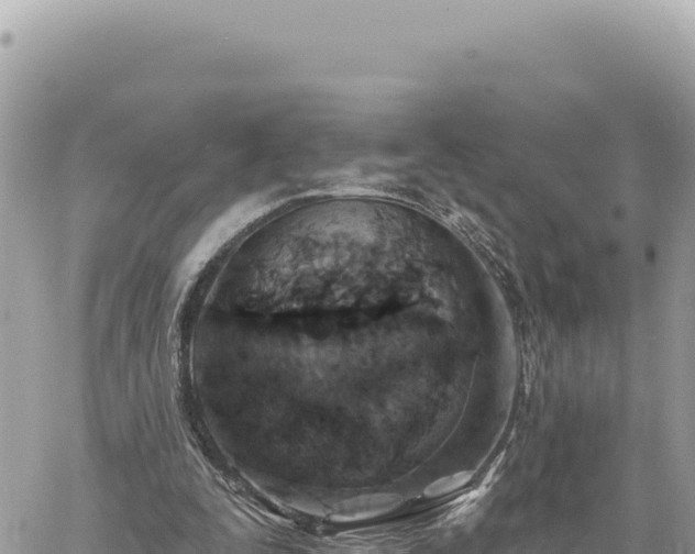 X0000060760295200511171155